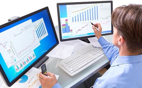 计算机系统服务 档案数字化加工的关键支柱